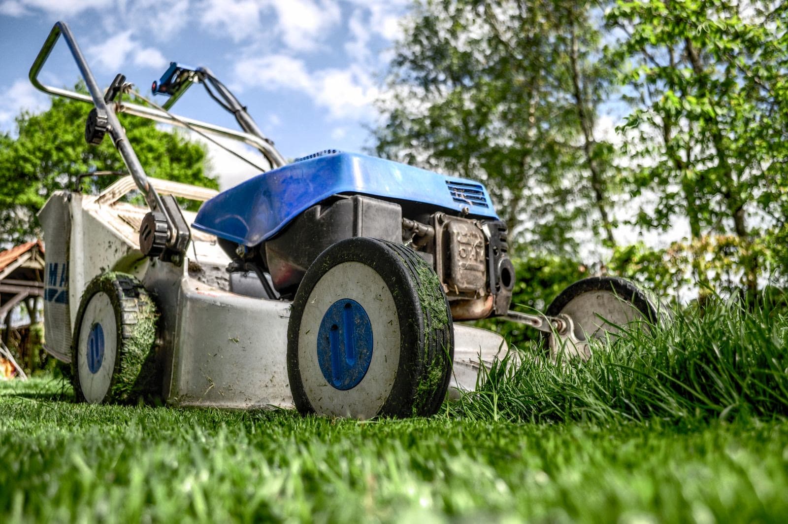 Lawn care and landscaping work on a residential yard