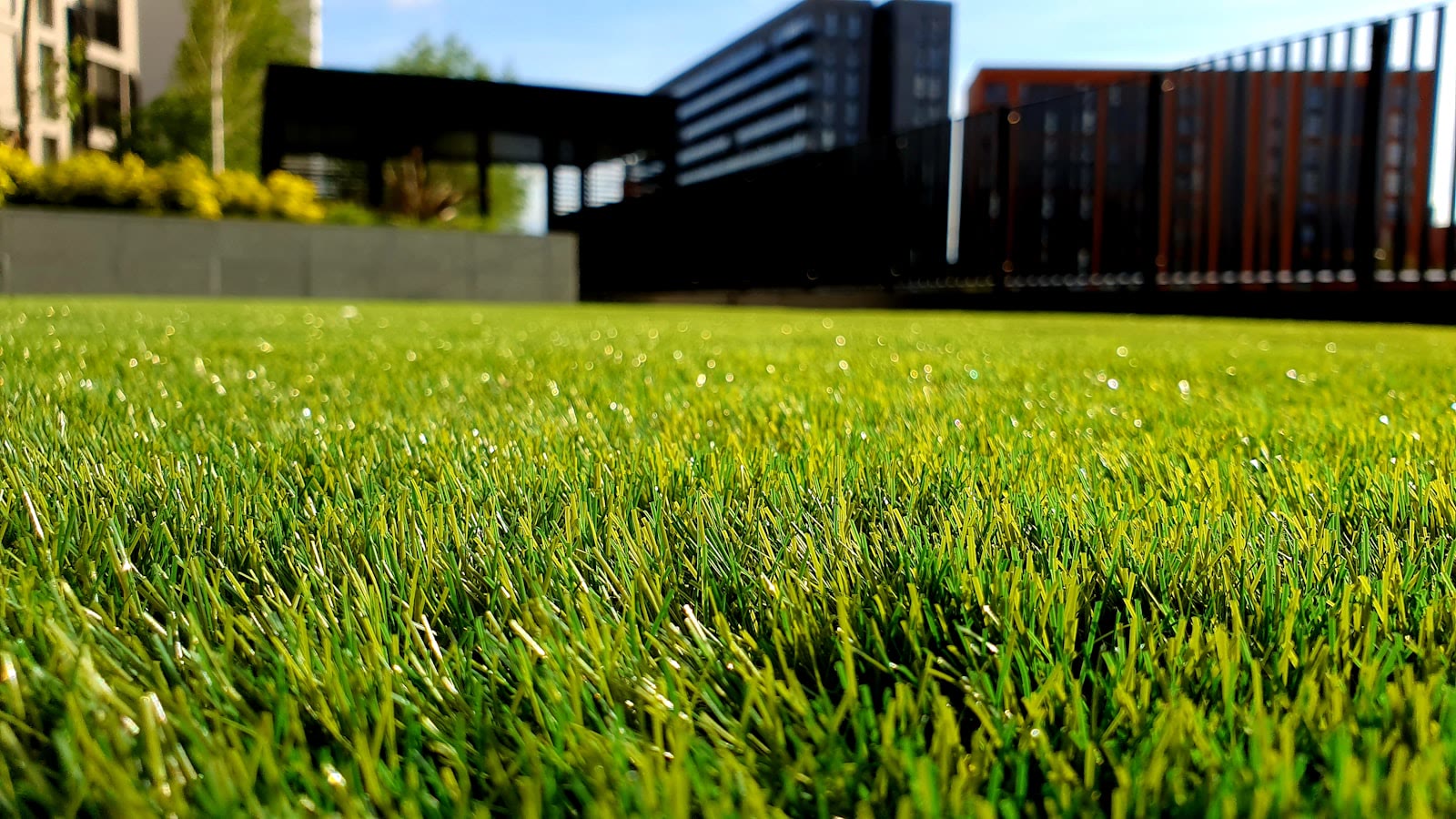 Fresh turf and outdoor landscaping finish