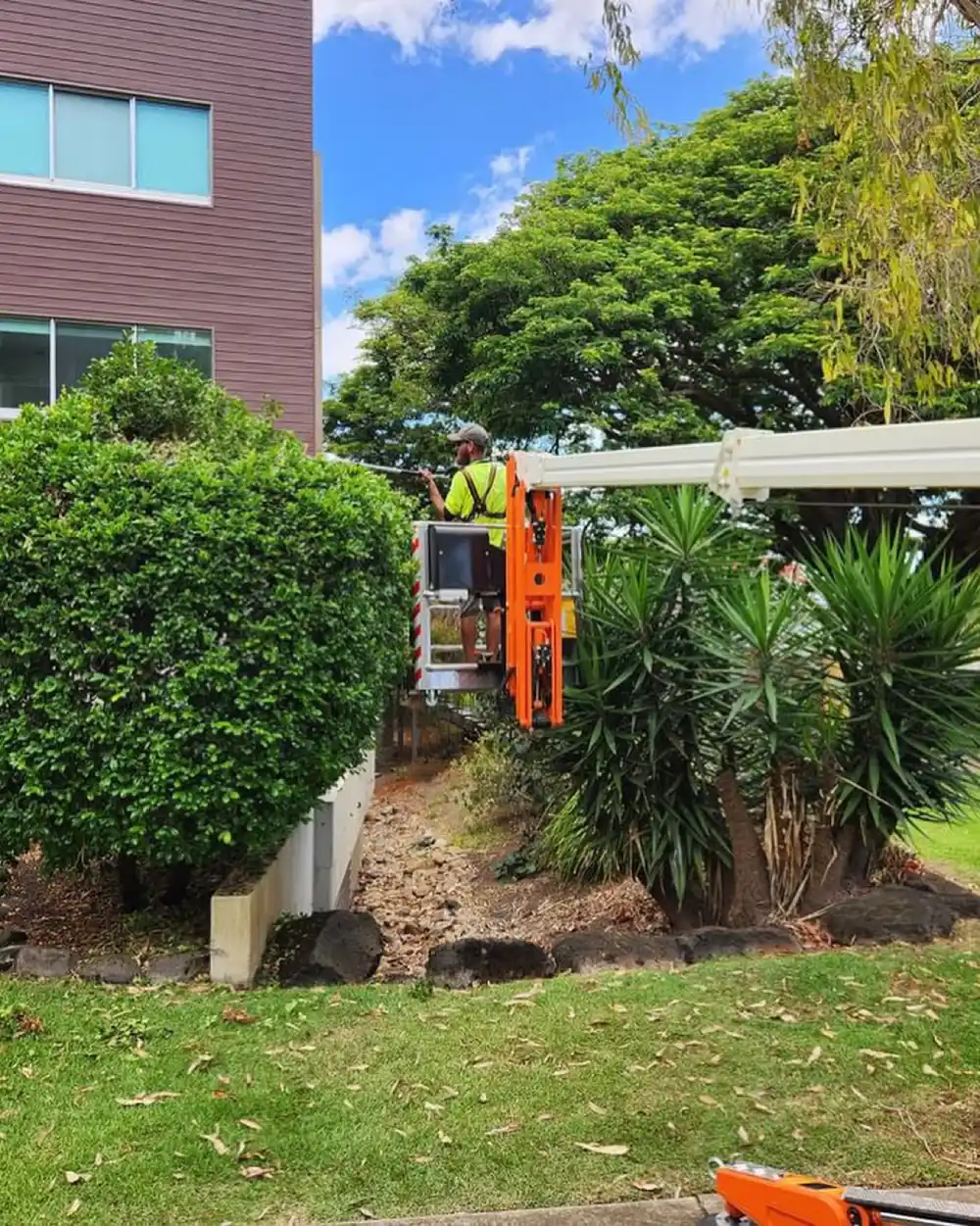 Queensland Facility Services - photo 1