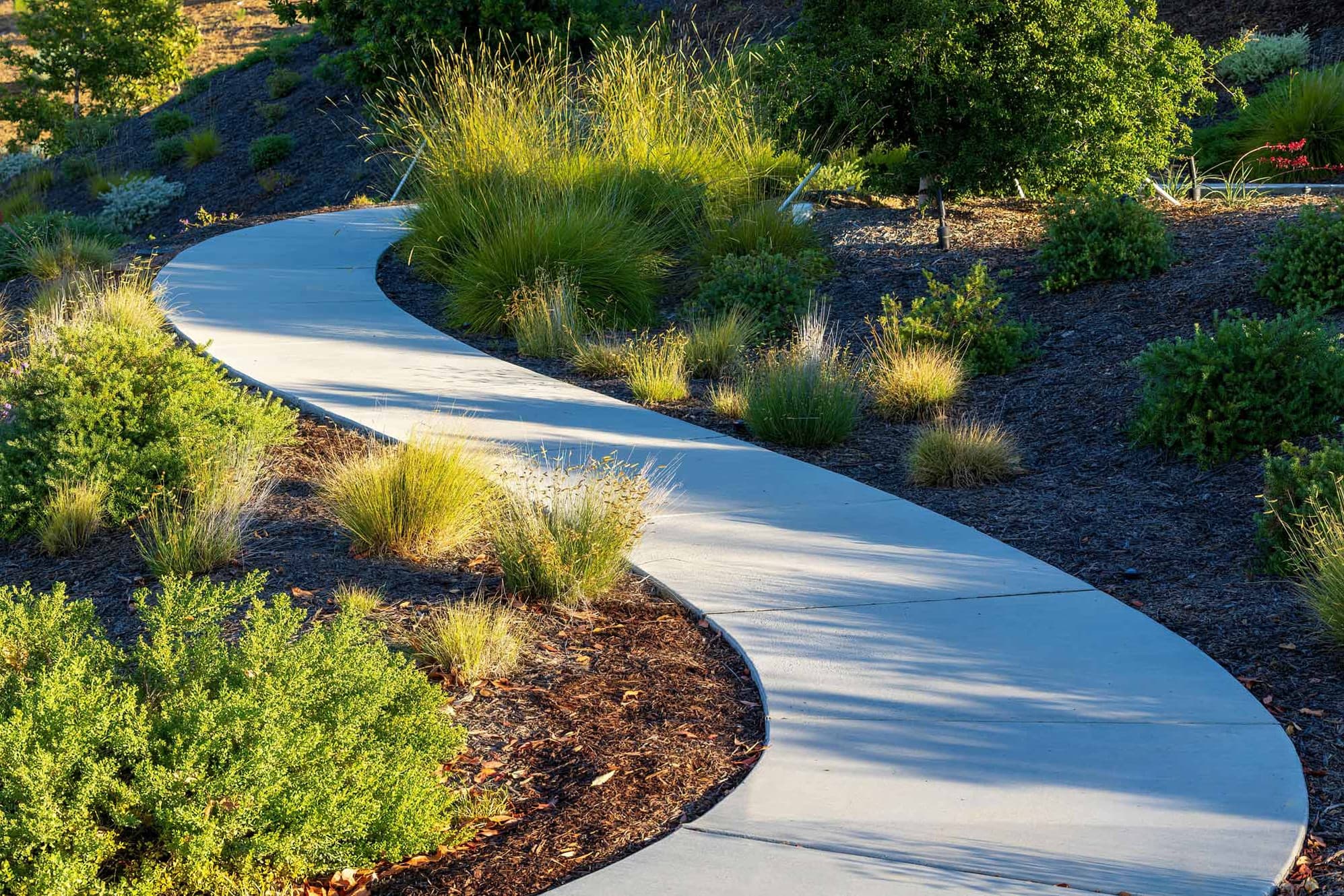 Blue Vikings Landscaping and Construction - photo 1