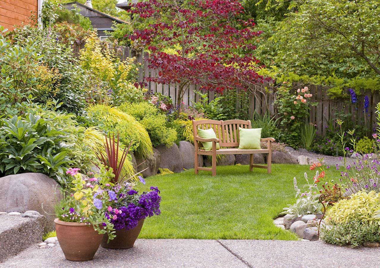 Shady Gardens Landscape Gardener - photo 1