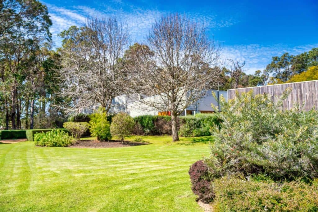 Contemporary Landscapes & Maintenance - photo 1