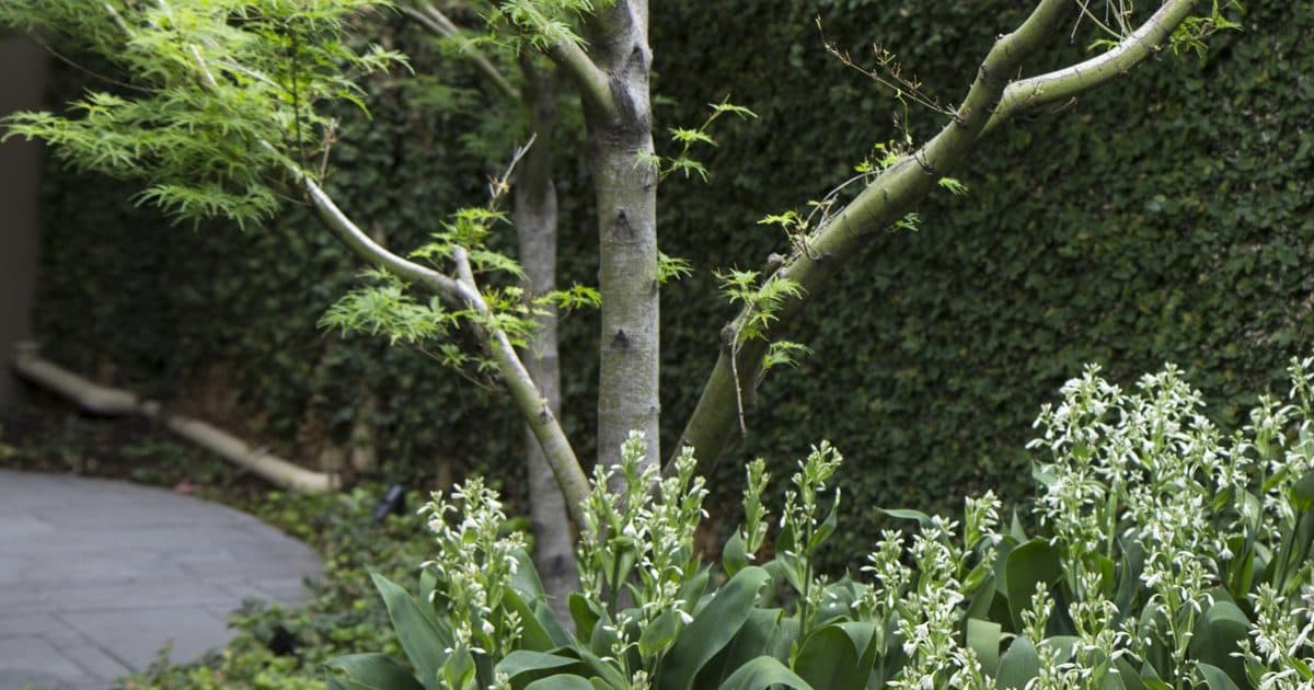 Semken Landscaping - photo 1
