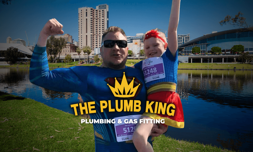 The Plumb King - photo 1