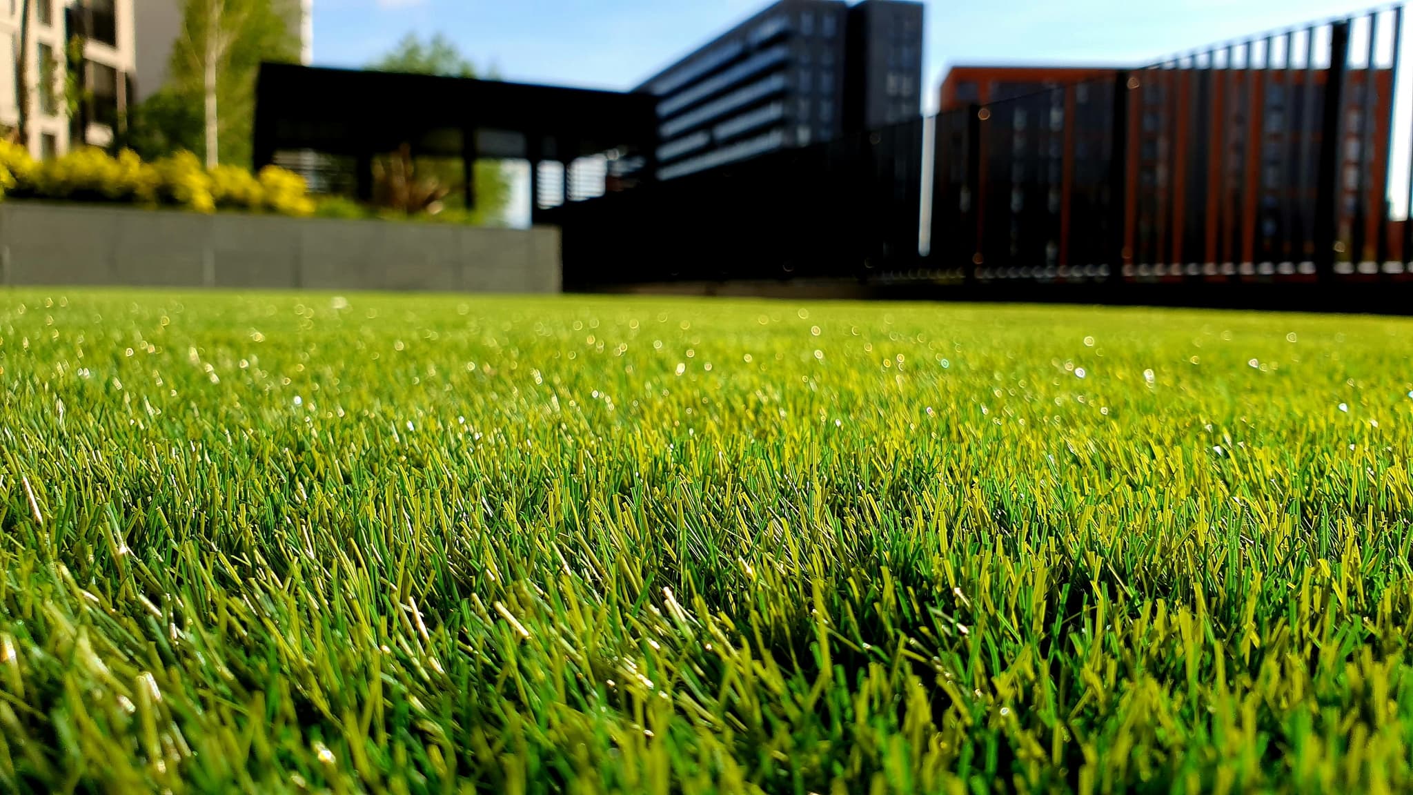Mownation Lawns & Gardens (Mt Eliza) - photo 1