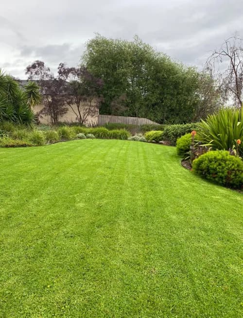 Short And Neat Garden Maintenance - photo 1
