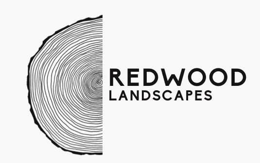 Redwood Landscapes - photo 1