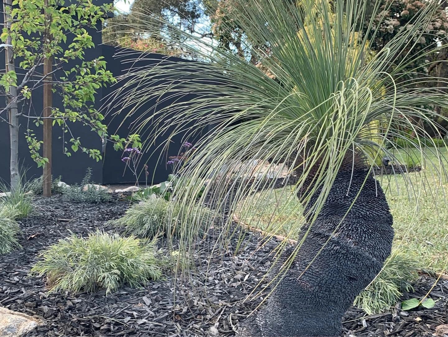 Mayer Landscapes - photo 1