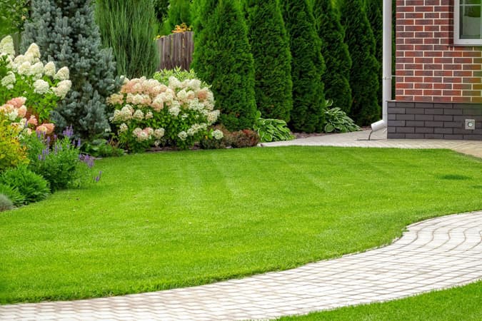 Triflora Landscaping & Garden Maintenance - photo 1