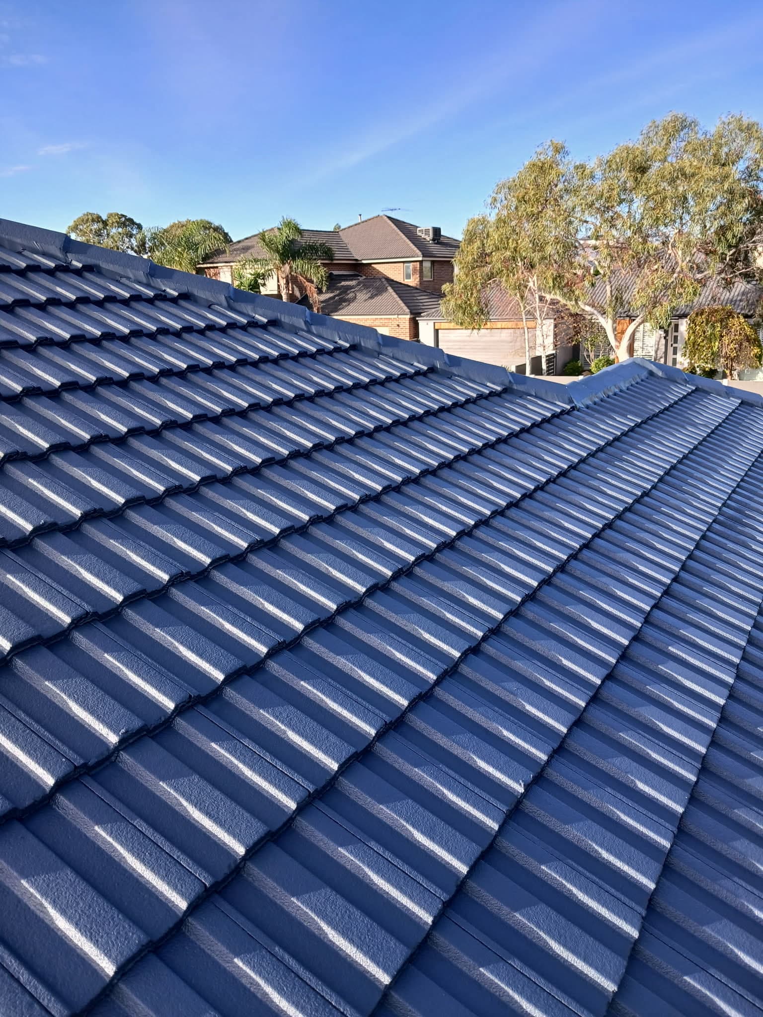 Enhanced Paint and Roof Restoration - photo 1