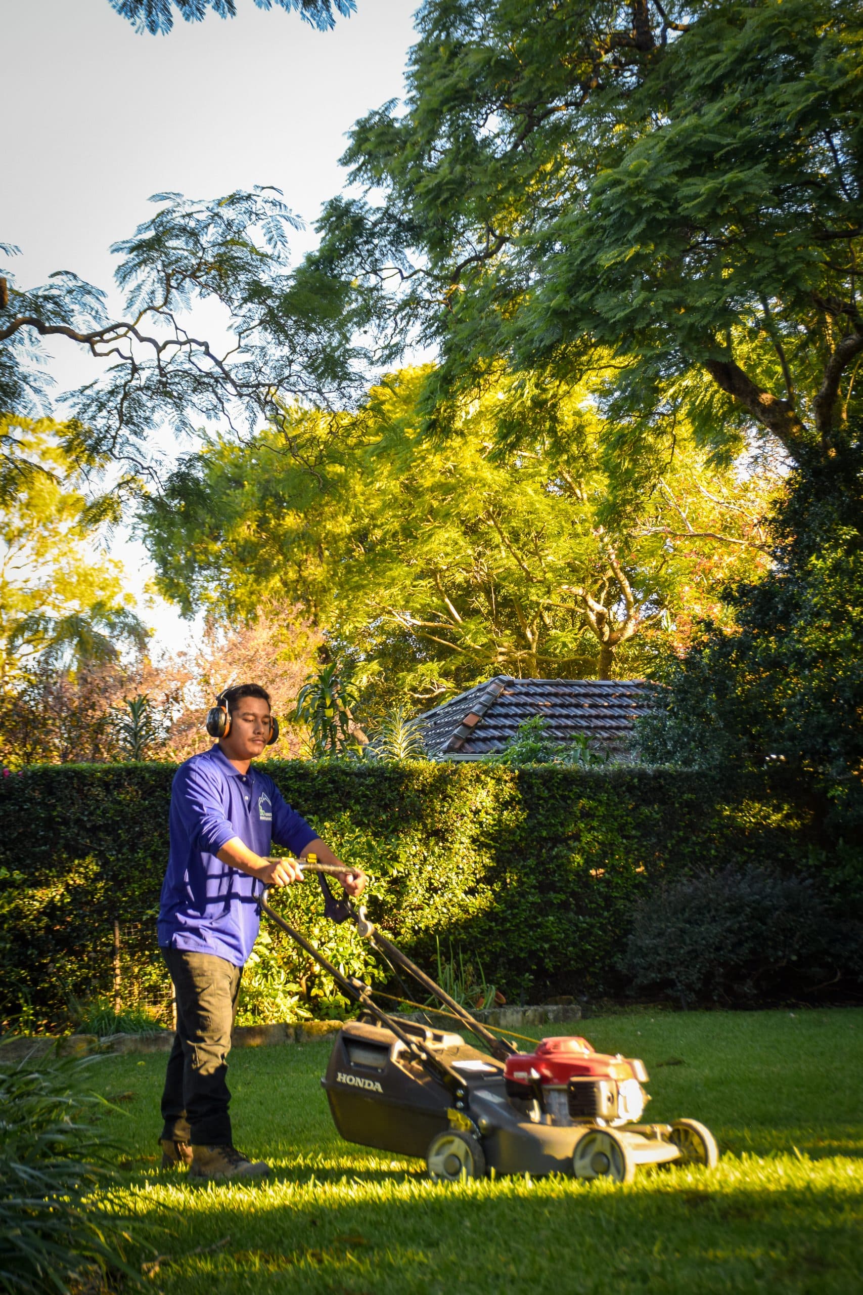 Everest Landscape And Property Maintenance - Best Garden Maintenance Sydney - photo 1