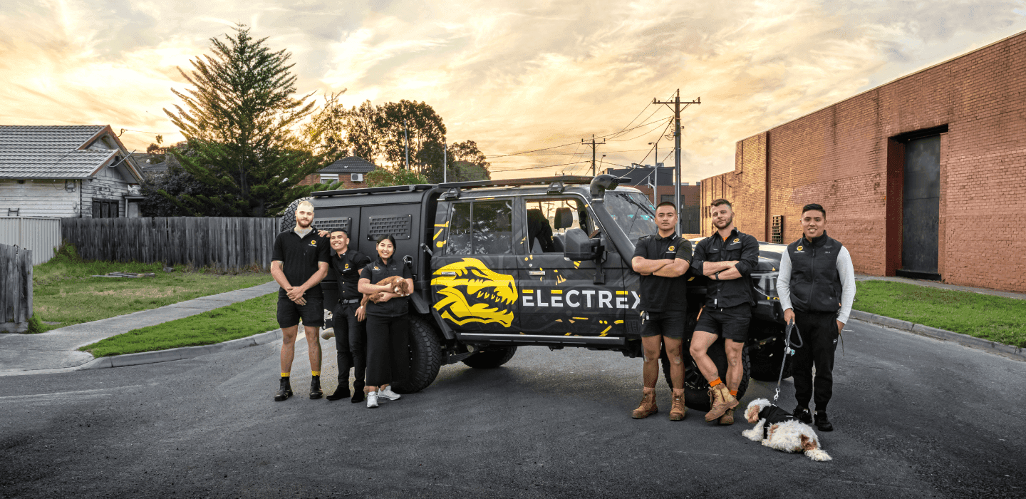 Electrex - photo 1