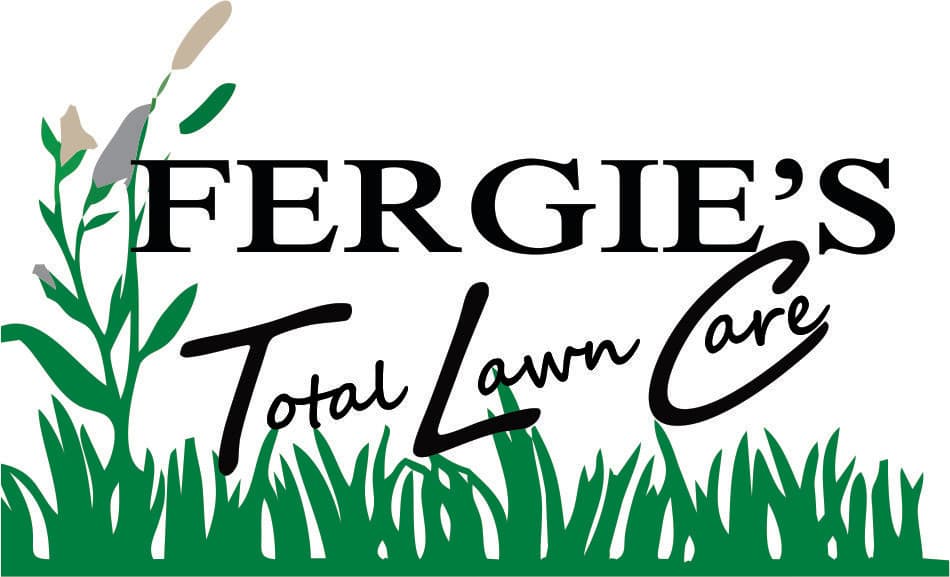 Fergie's Total Lawn Care - photo 1