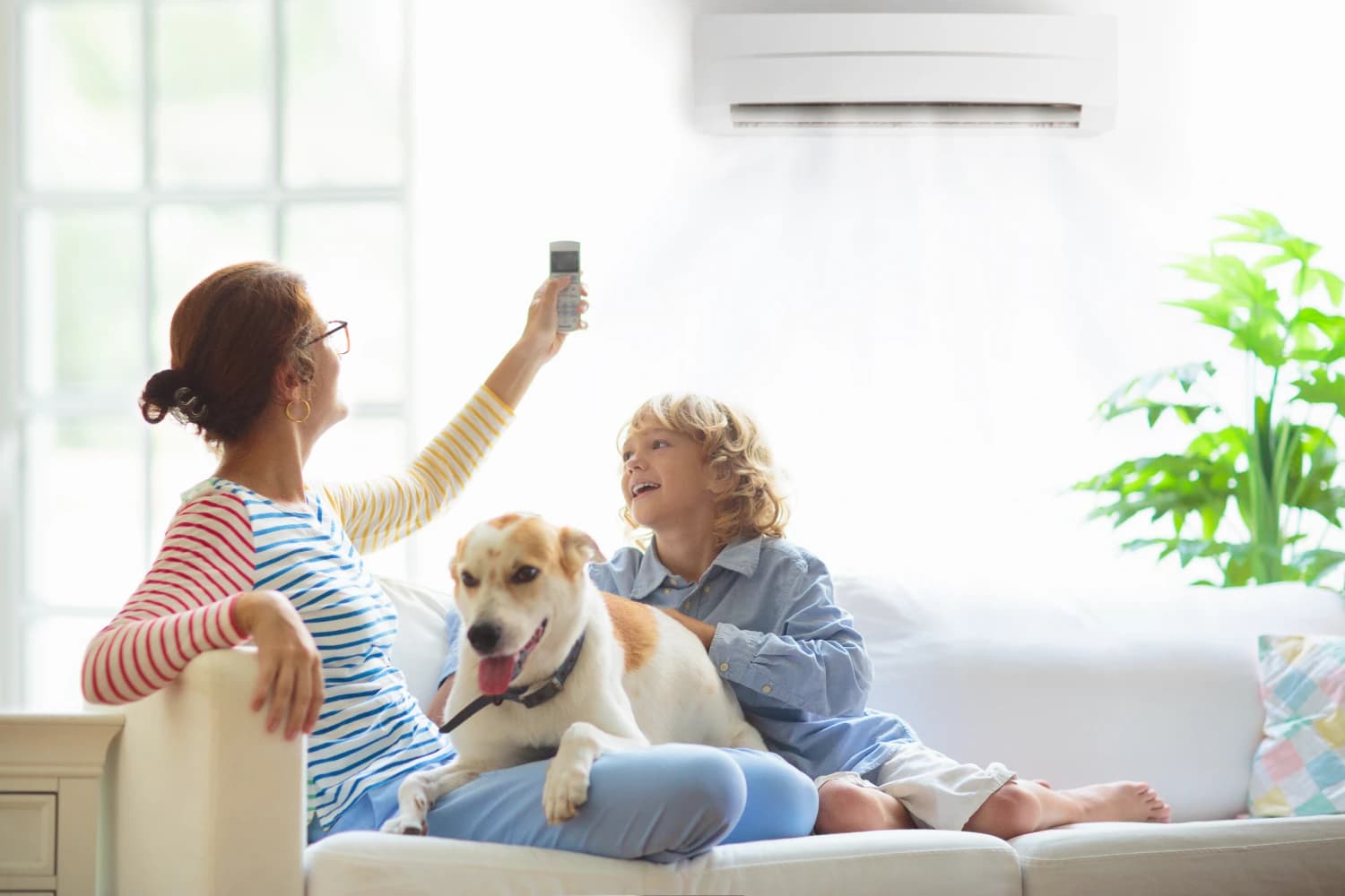 Bliss Refrigeration & Air Conditioning Pty Ltd - photo 1