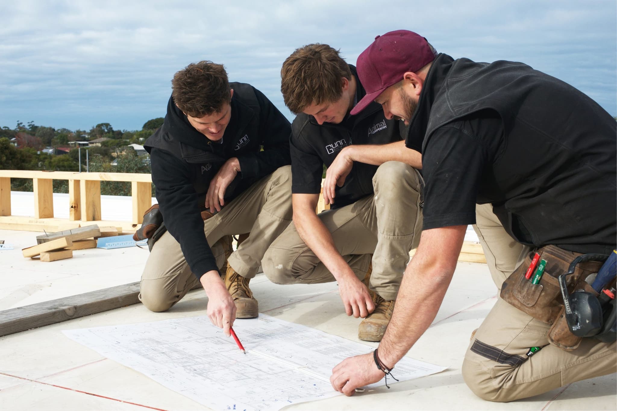 Animal Carpentry - photo 1