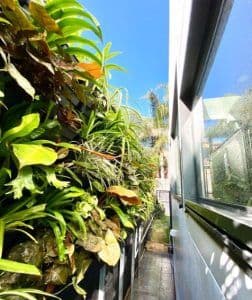 Growing Well gardens Design Maintenance Sydney - photo 1