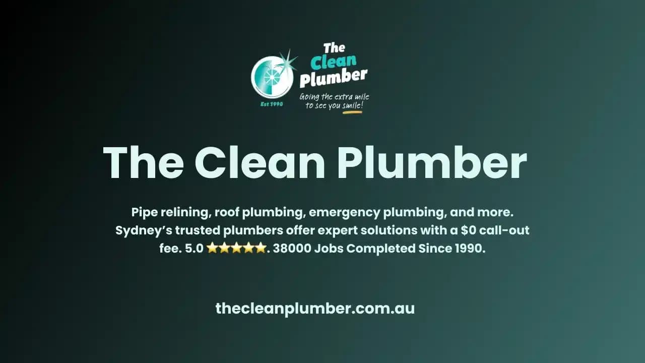 The Clean Plumber - photo 1