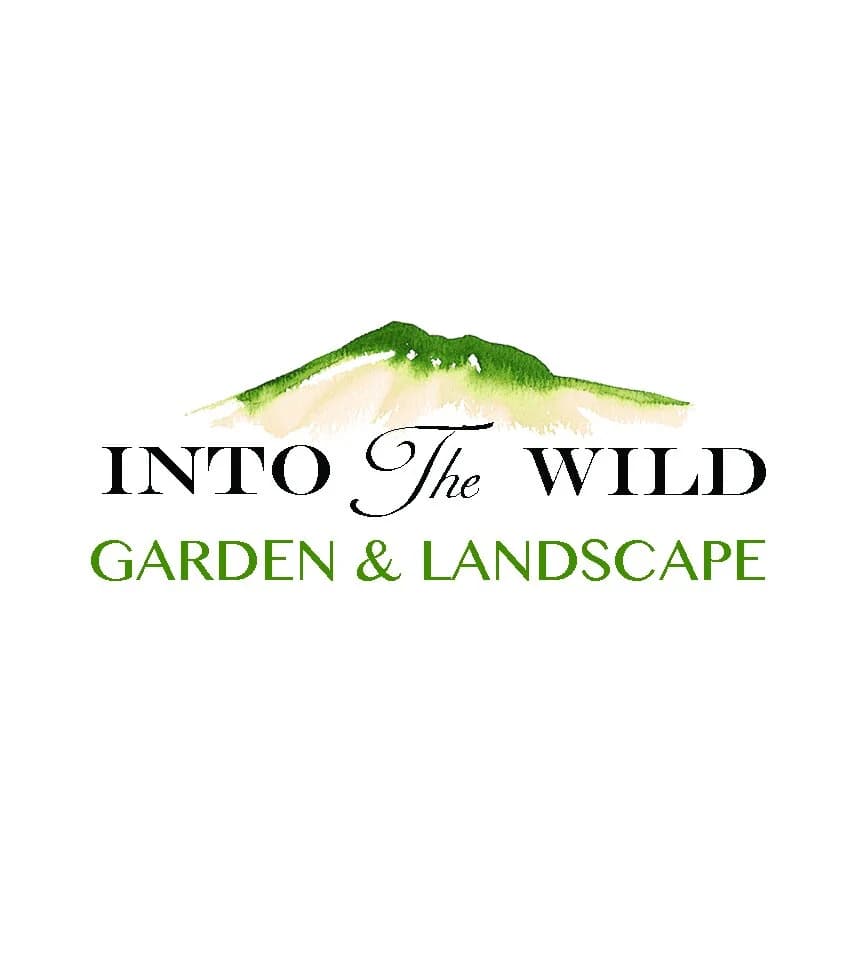 Into The Wild Garden & Landscape - photo 1