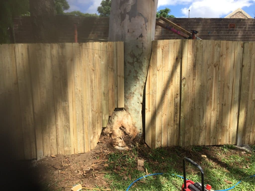 Inner West Fencing and Gates - photo 1