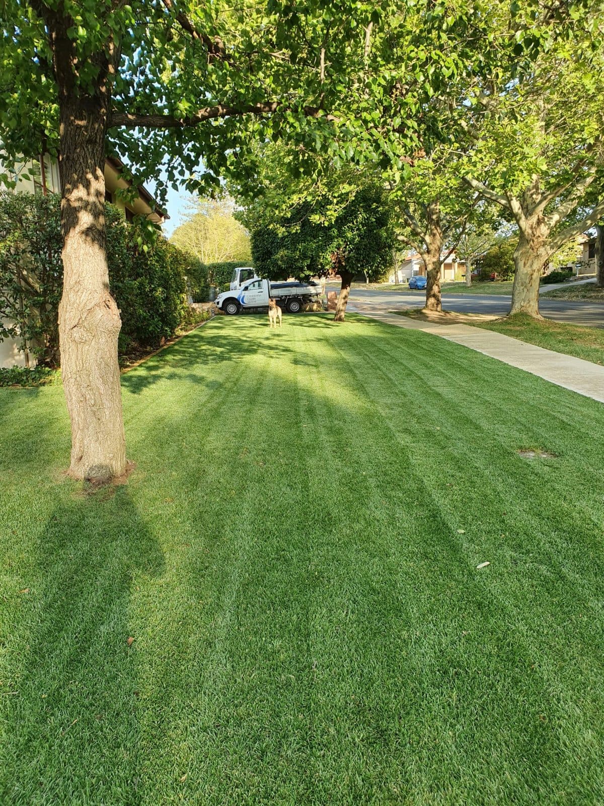 Canberra Clear Landscaping - photo 1