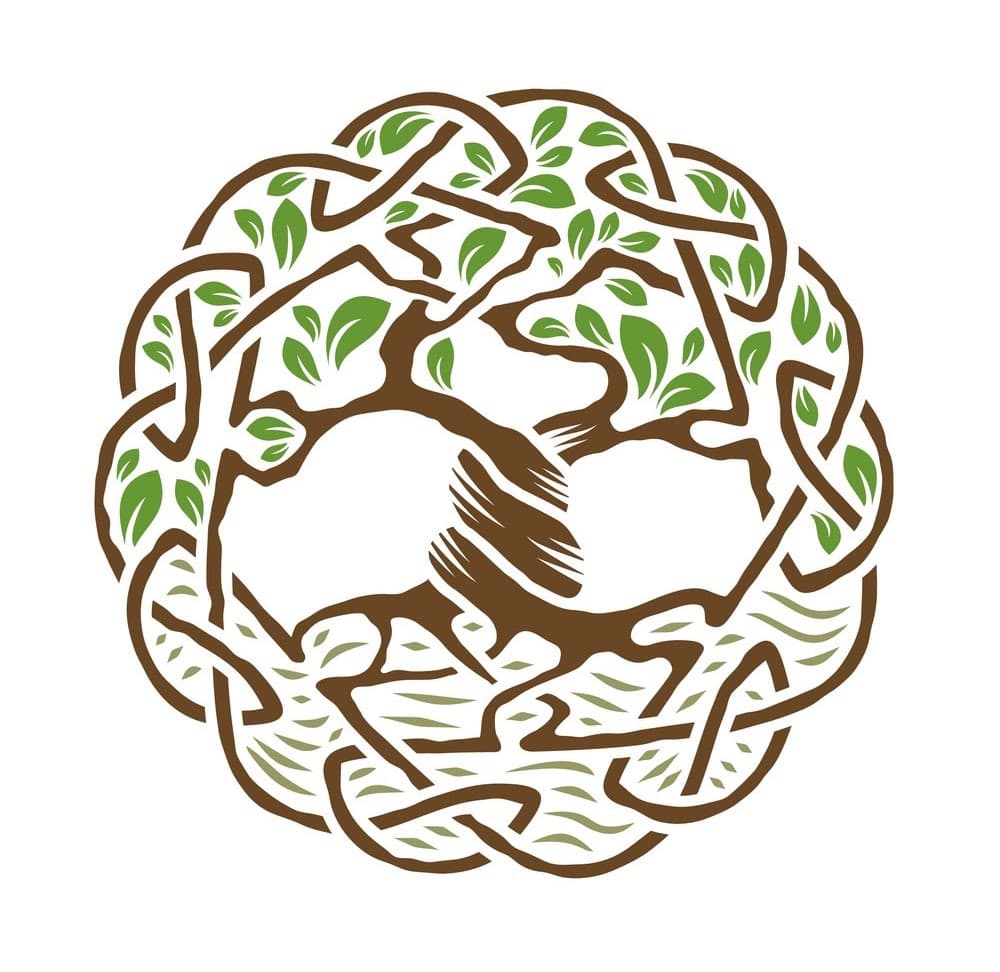 The Celtic Gardener - photo 1