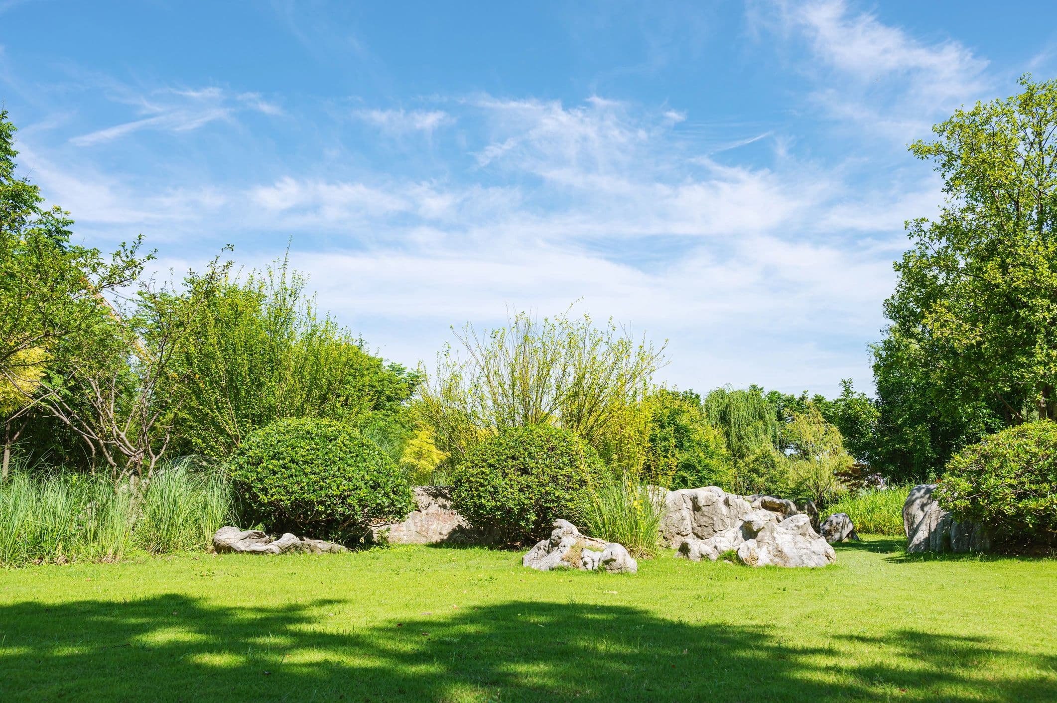 Verdance - photo 1