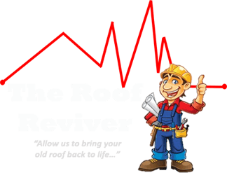 The Roof Reviver - photo 1