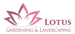 Lotus Garden Maintenance & Landscaping - photo 1