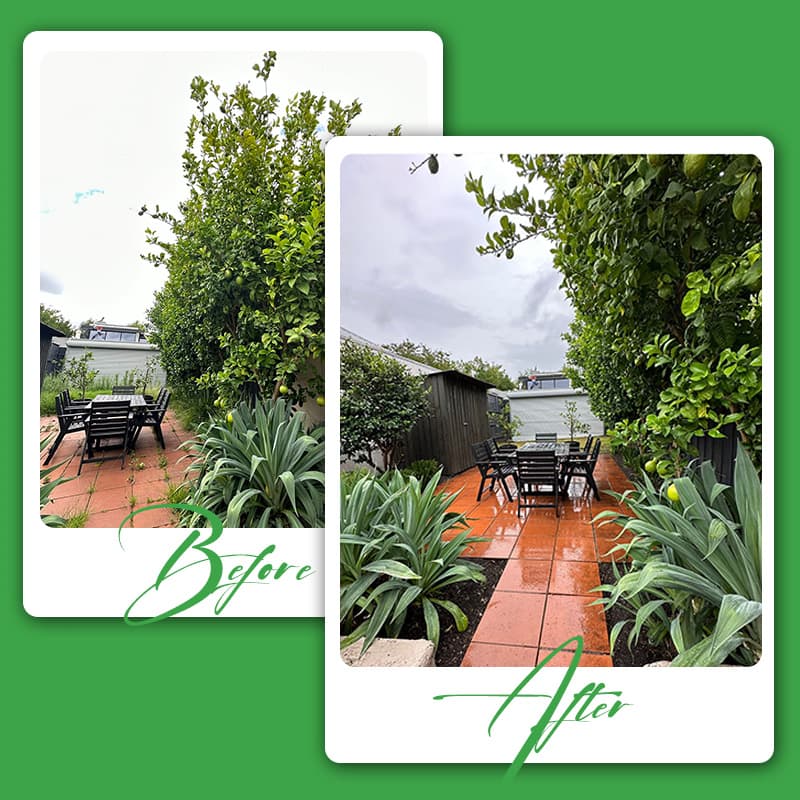 GreenGo Garden Service - photo 1